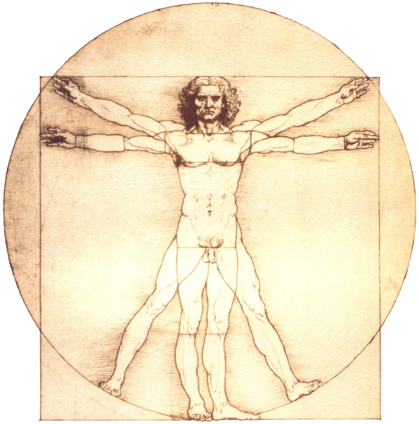 Hombre de Vitruvio