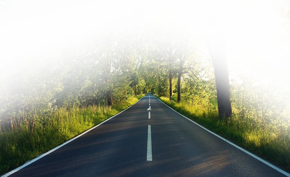 Carretera de asfalto negro en medio del bosque